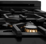 ZLINE 48 in. Professional Gas Burner/Electric Oven in Black Stainless Steel with Brass Burners9