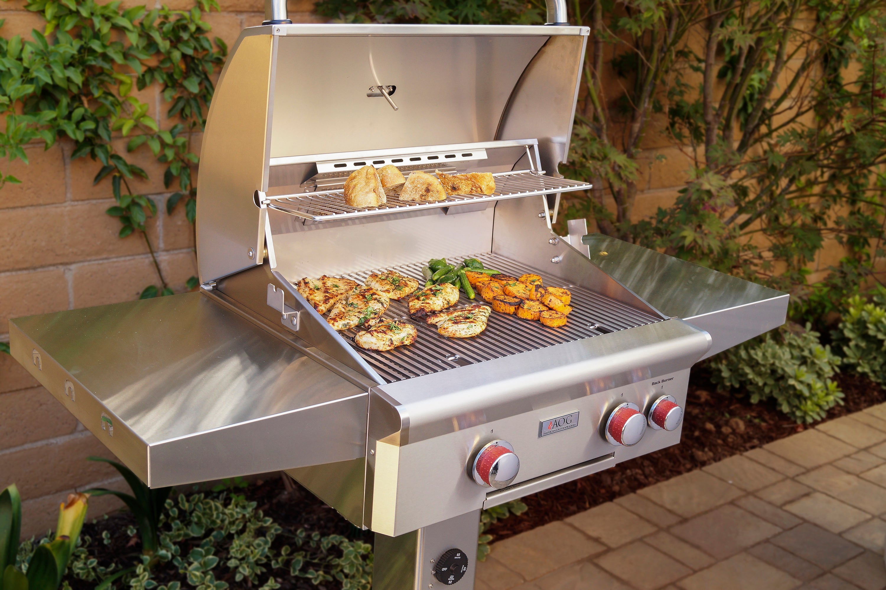 AOG T Series Post Mount Grill 1