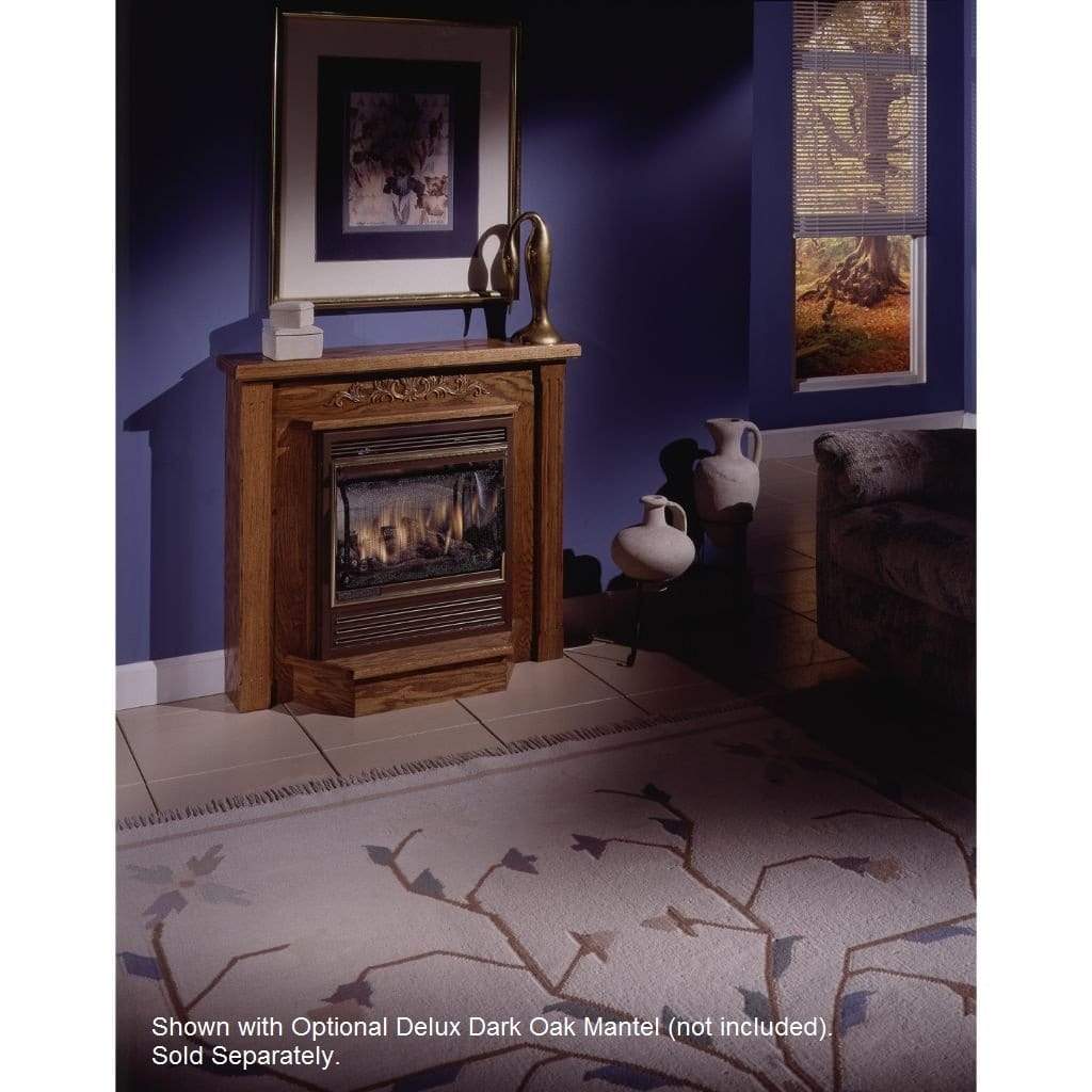 Buck Stove Model 1110 Vent Free Gas Stove Architecture Mates