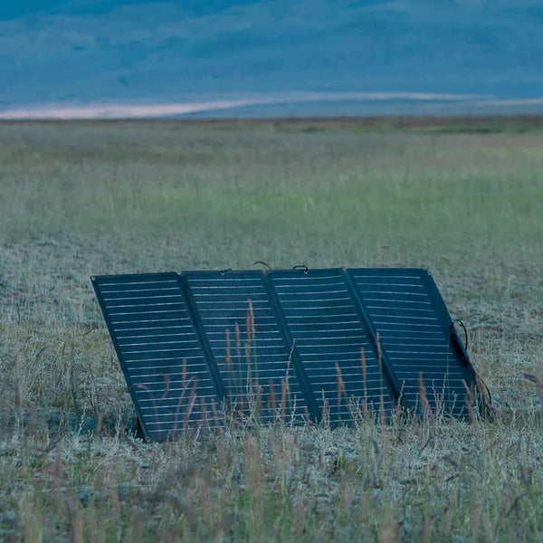 EcoFlow 160W Portable Solar Panel 4