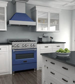 ZLINE 30 in.Professional Gas Burner/Electric Oven DuraSnow® Stainless Range with Blue Matte Door5