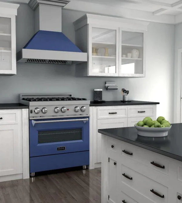 ZLINE 30 in.Professional Gas Burner/Electric Oven DuraSnow® Stainless Range with Blue Matte Door 5